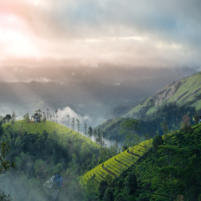 Best of Kerala